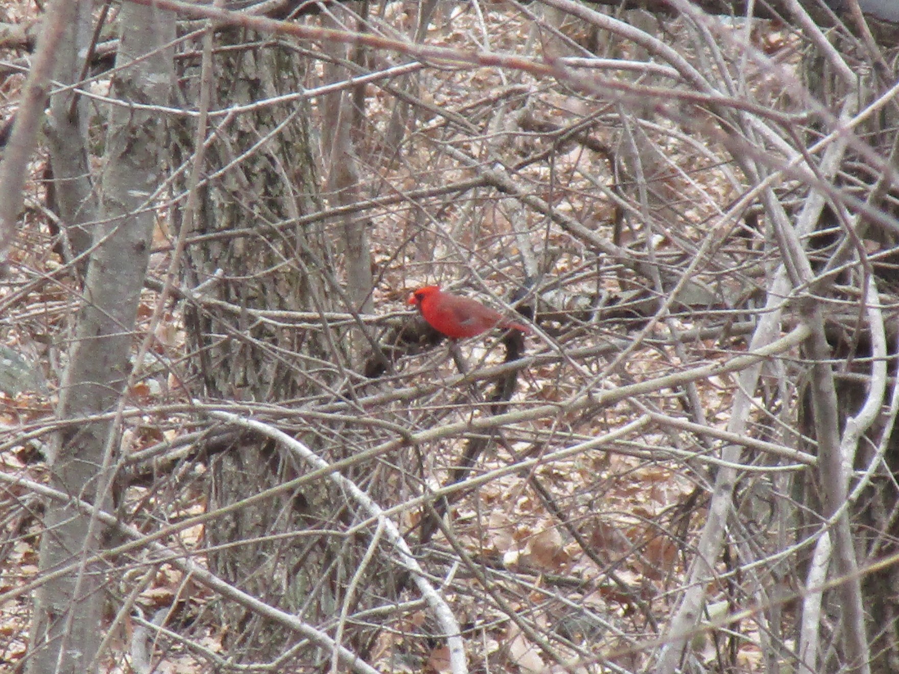 -7614346912937394727_IMG_0107 (2)