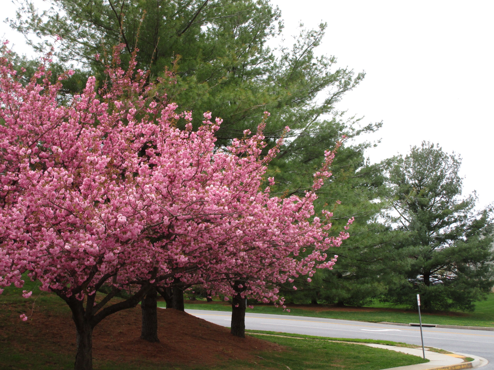 7922866676834120581_IMG_0127